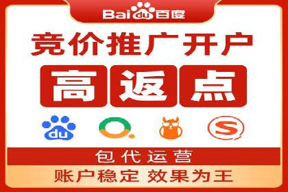 知名SEM公司案例分析：优化策略与成果